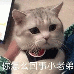 示例图片